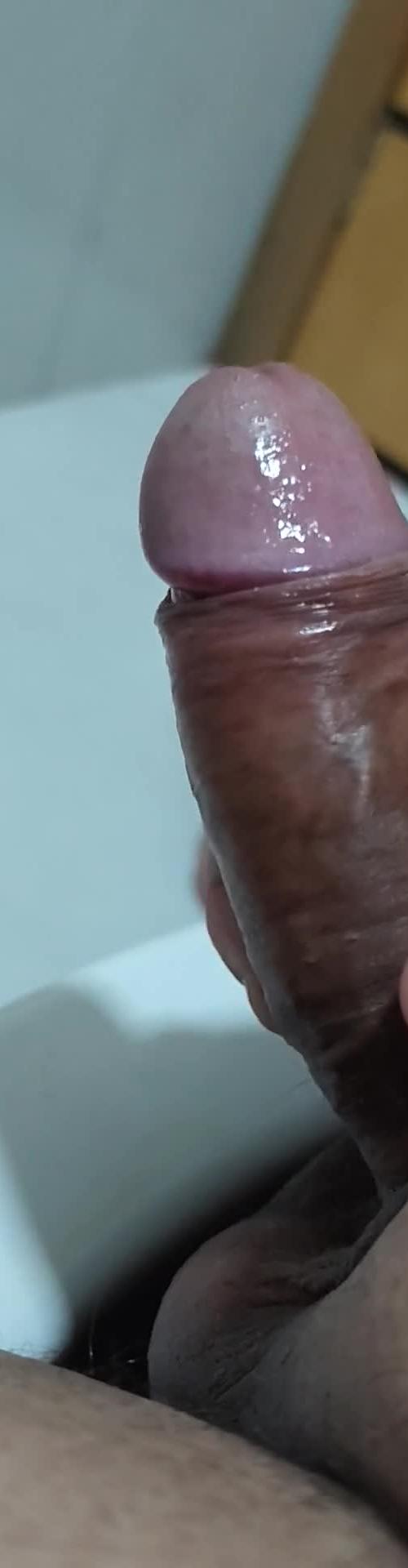 Mídia de casaljp92