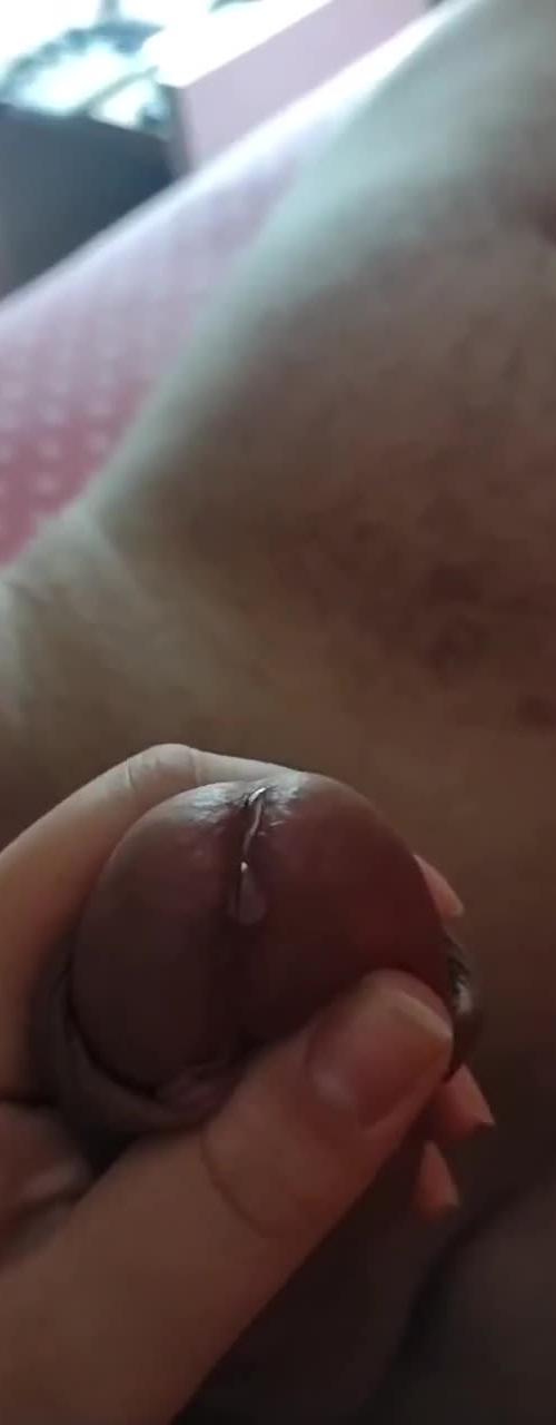 Mídia de casalmgfor