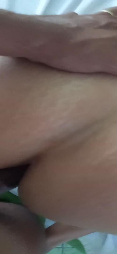 Mídia de copola69