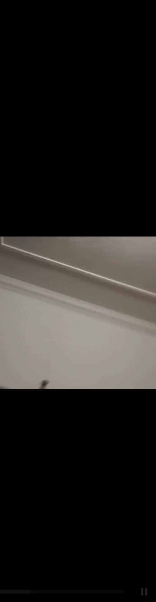 Mídia de cornodalu7