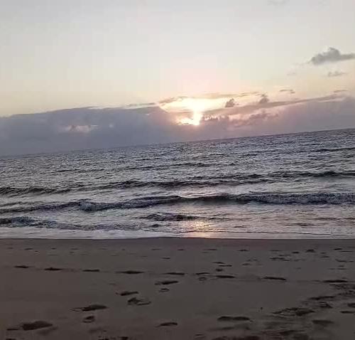 Mídia de coroagostosa2413