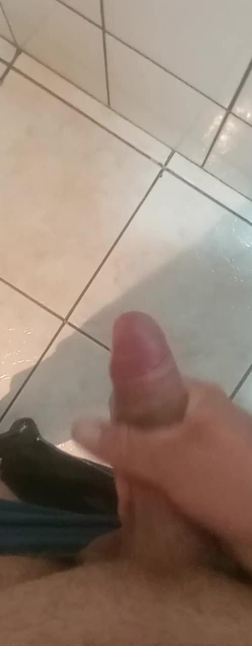Mídia de dinhosorriso2024