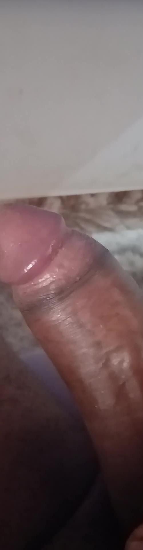 Mídia de discretopretin500