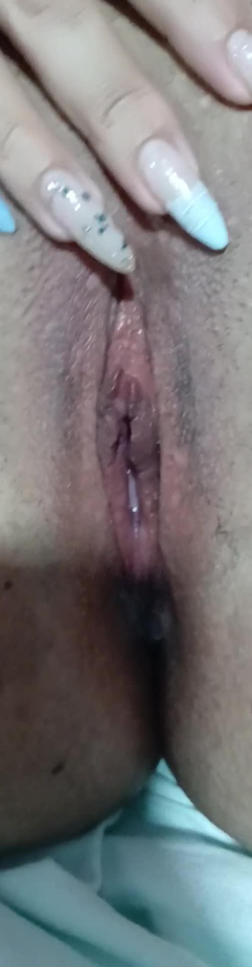 Mídia de domsafad0