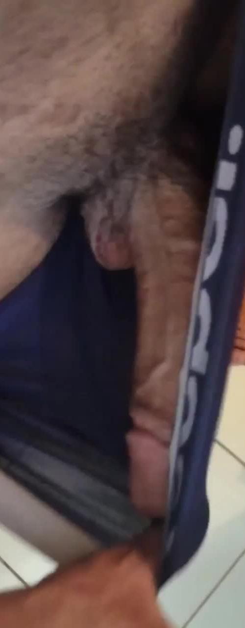 Mídia de dotado18_9740