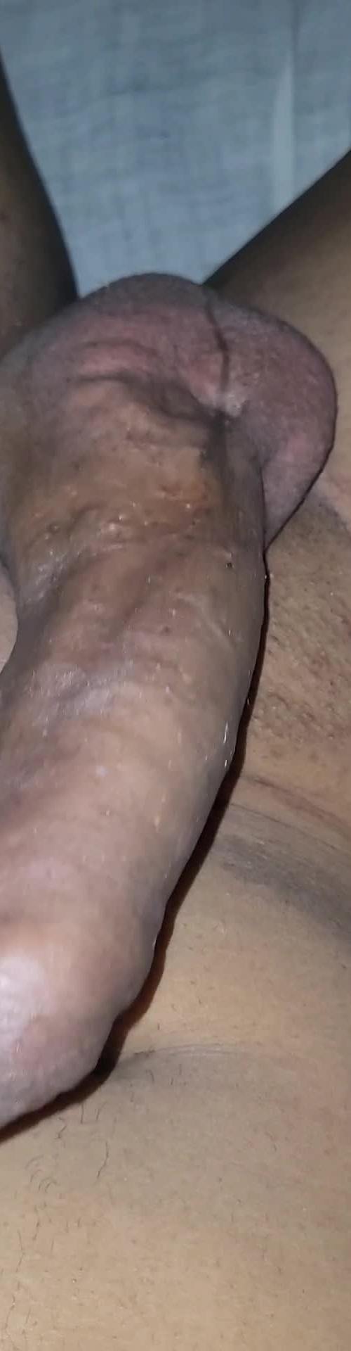 Mídia de dotado_do_prazer23cm