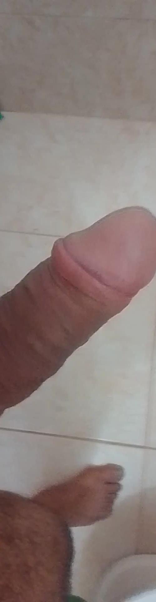 Mídia de dotadosafadogo
