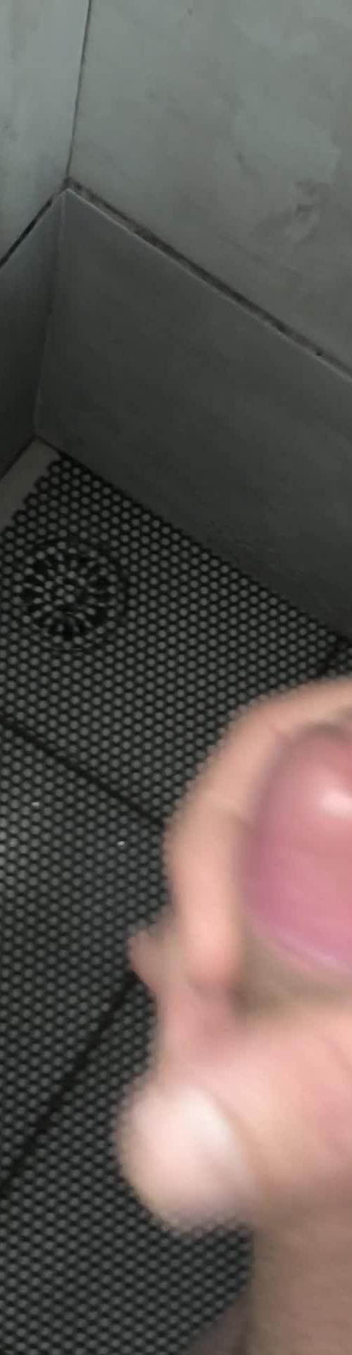 Mídia de elgato20cm