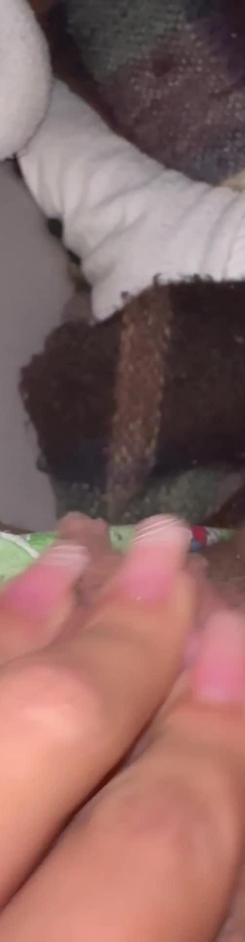 Mídia de escorpiana_tezuda