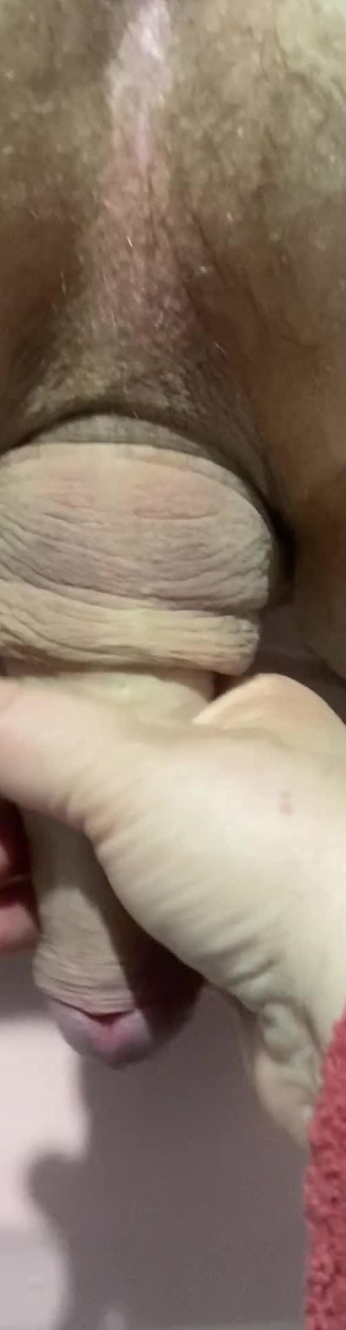 Mídia de felina45