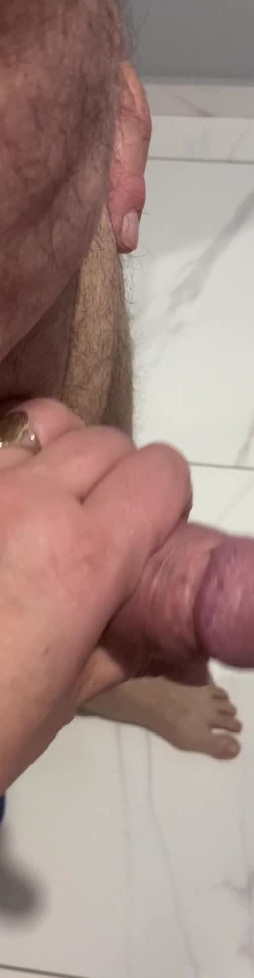 Mídia de felina45