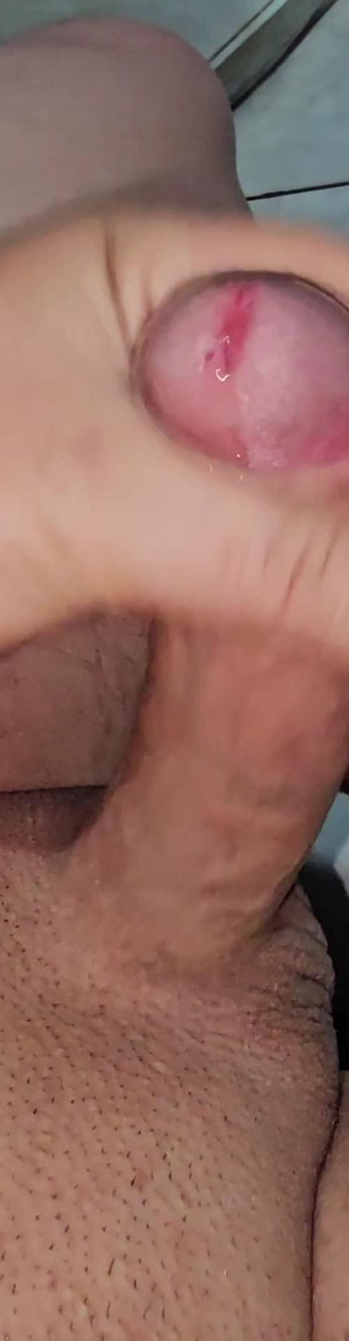 Mídia de freitas_6428