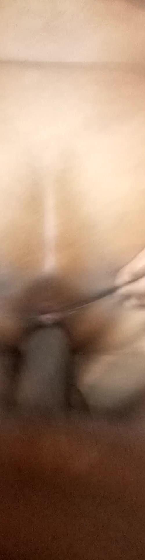 Mídia de gatinhamanhosa_39