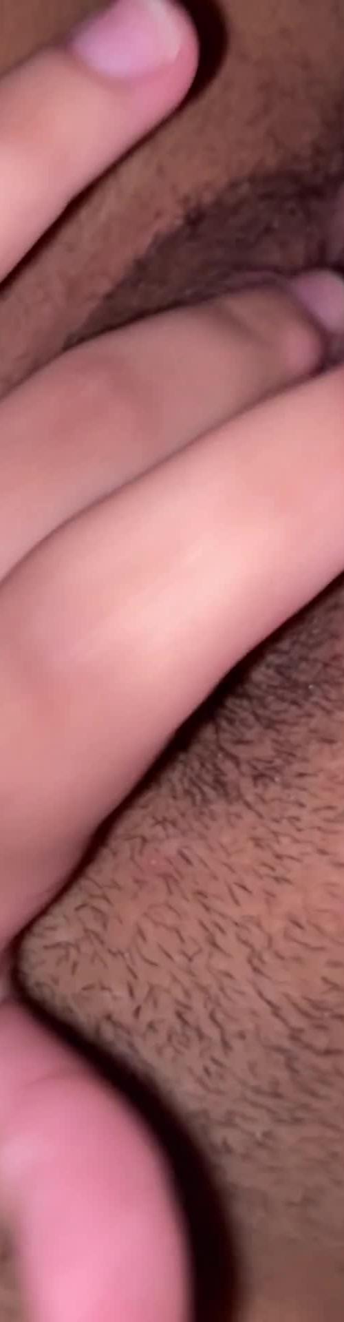 Mídia de gatinharb19