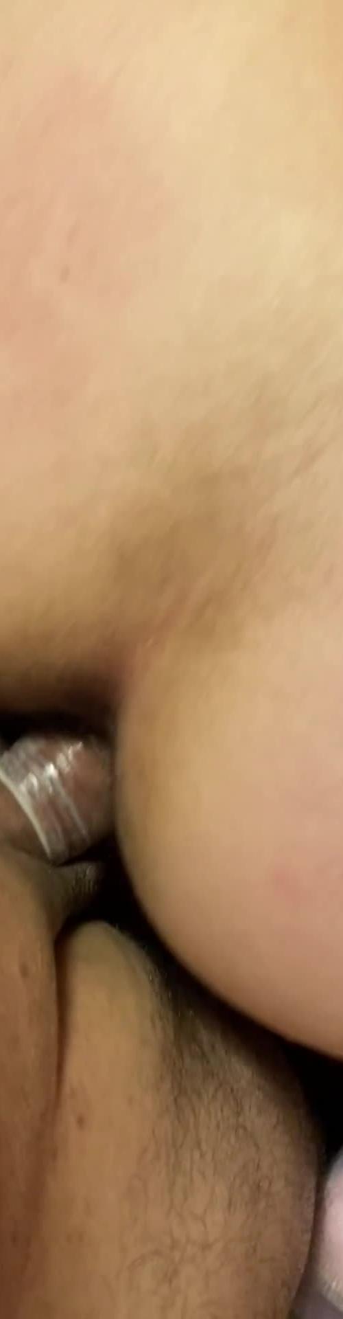 Mídia de gatinharb19