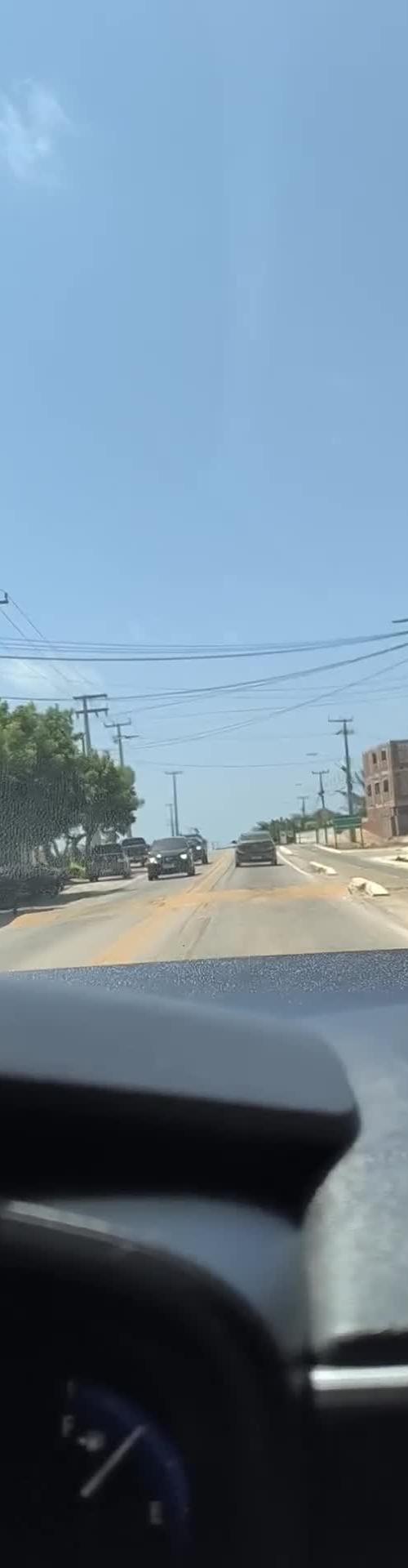 Mídia de gom195