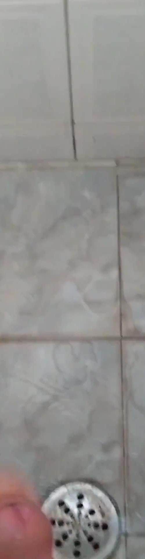 Mídia de gordinho_2435