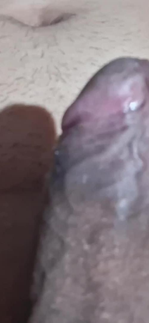 Mídia de gordinhoperdido