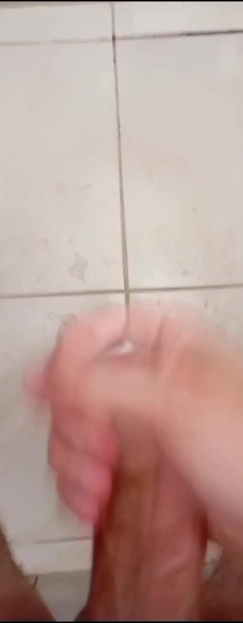 Mídia de h40rentao85