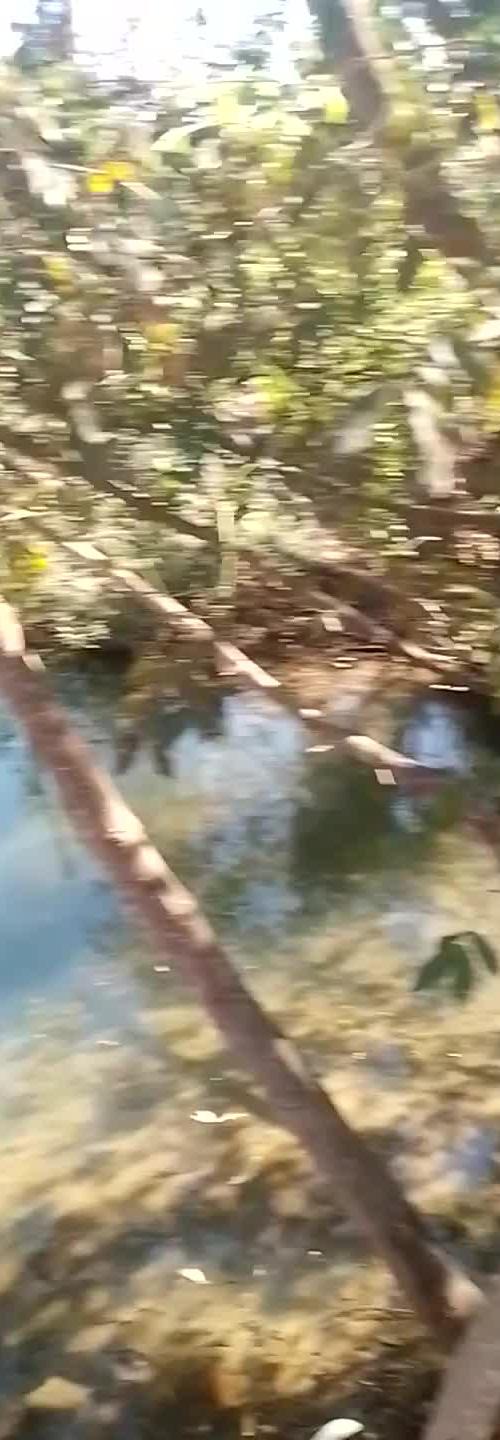 Mídia de hugao0707