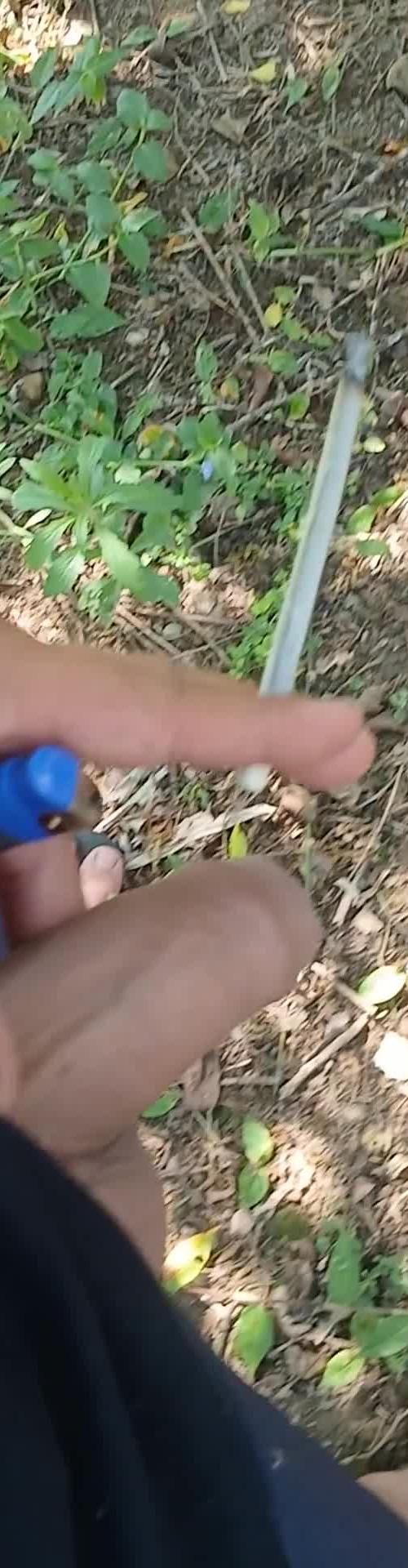 Mídia de jack54