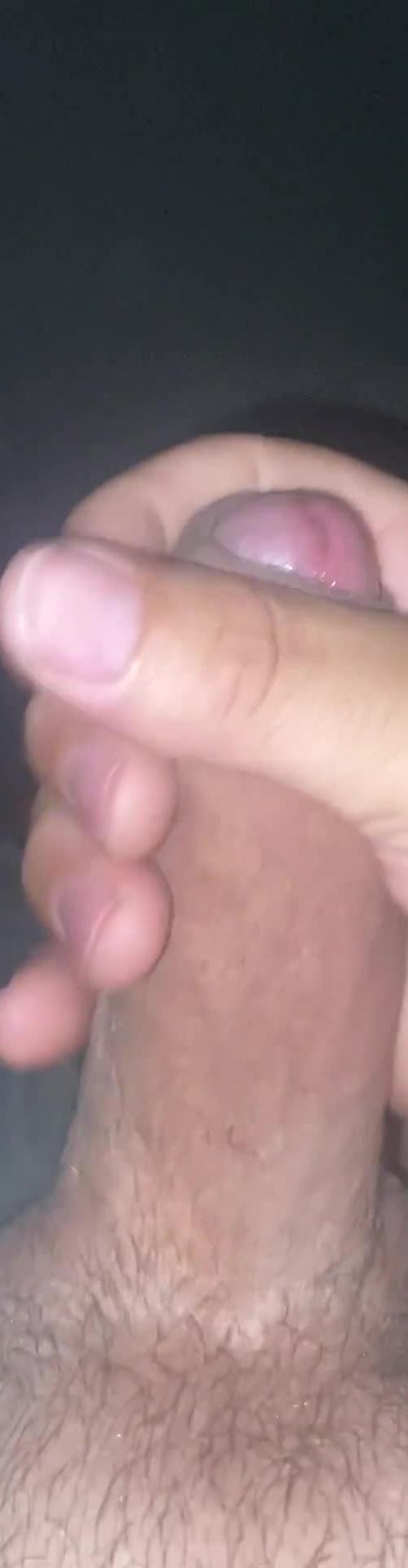 Mídia de jdpalv