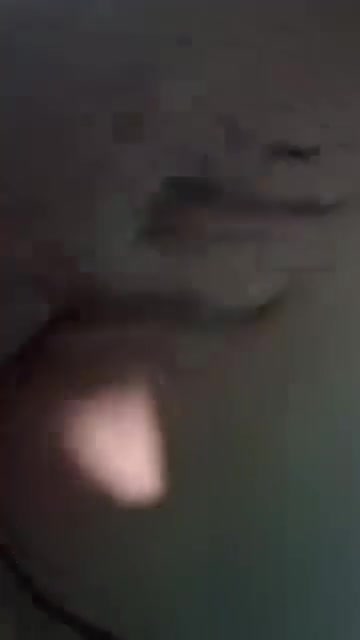 Mídia de juniorpass1020