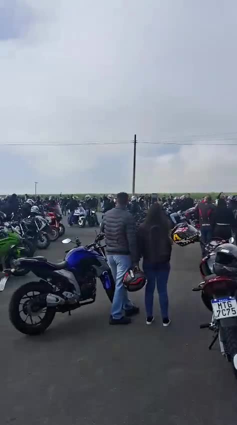 Mídia de kasal8586