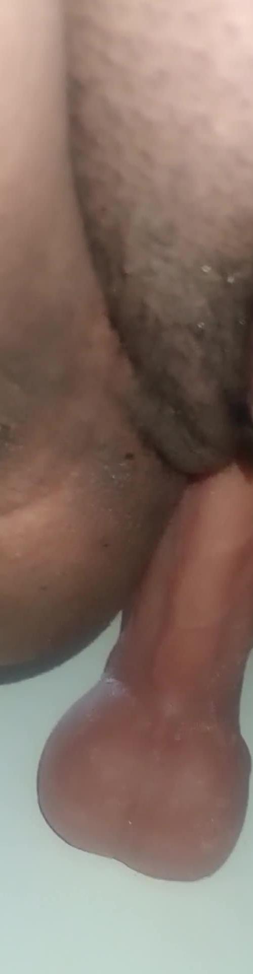 Mídia de lany31