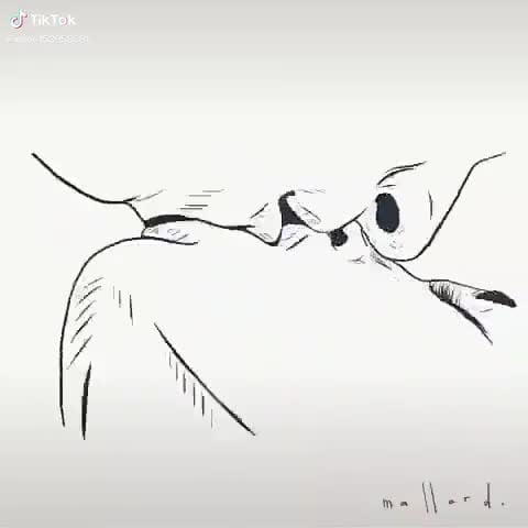 Mídia de lia_643