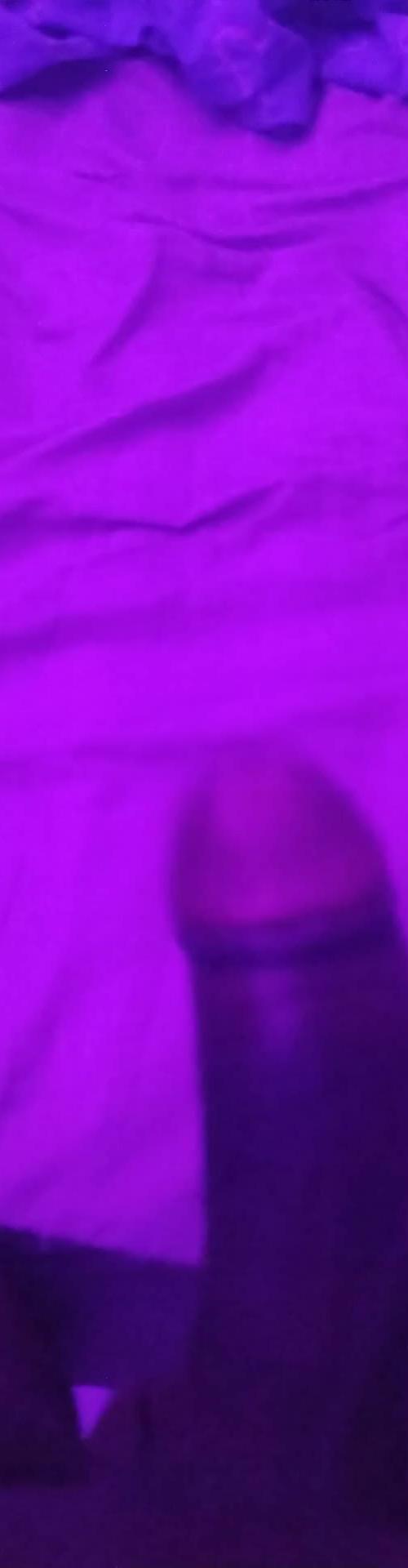 Mídia de midnigt