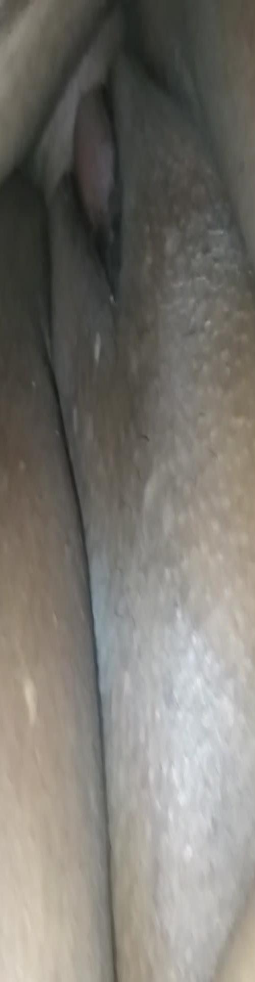 Mídia de mineiro_2279