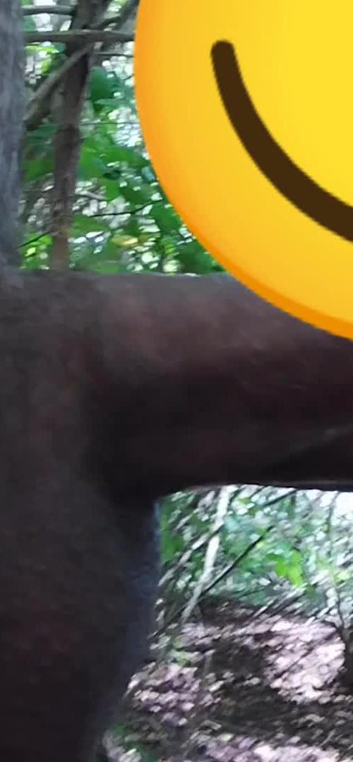 Mídia de mlkputoeun