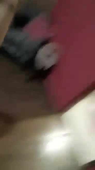 Mídia de moniquevadete