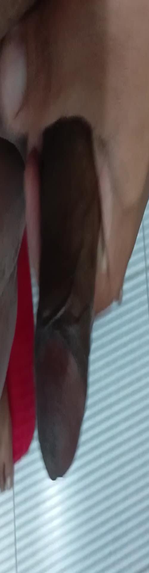 Mídia de moren_6729