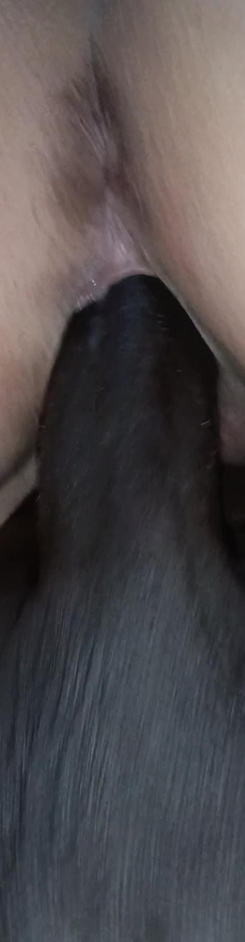 Mídia de negaoebranquinh_3032