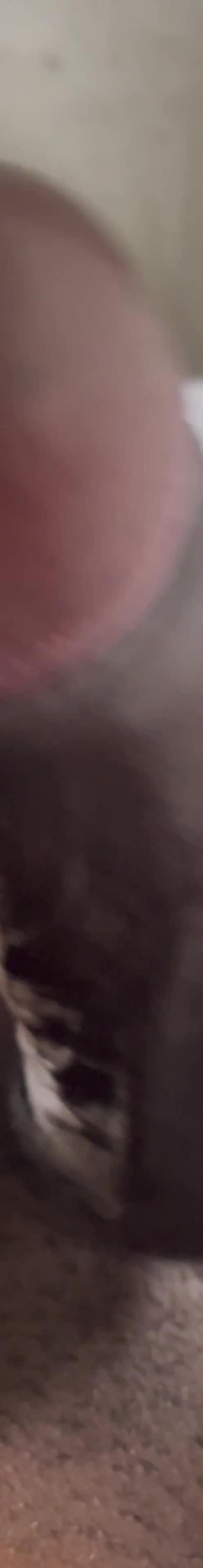 Mídia de negrocabulooso