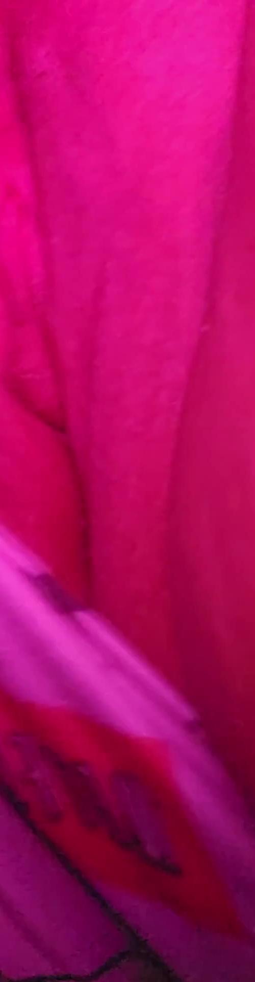 Mídia de newsingle29