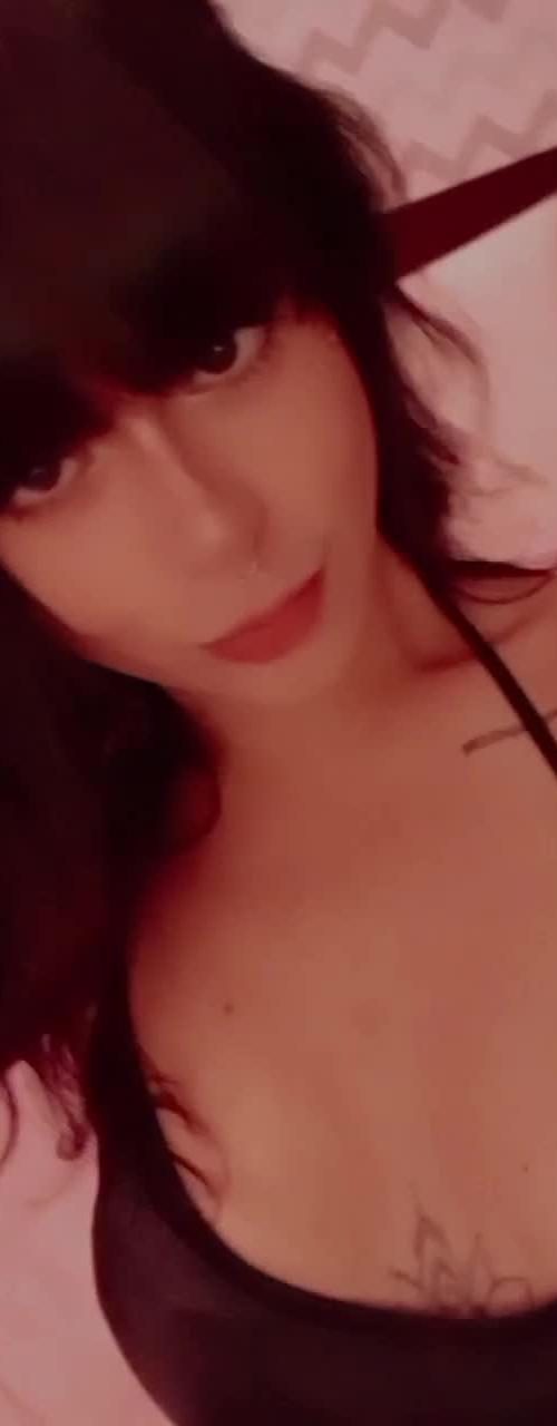 Mídia de ninfatrans_617