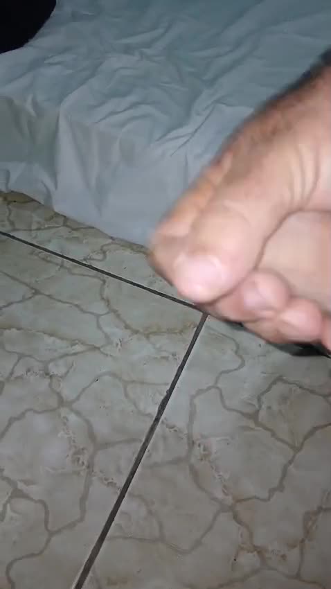 Mídia de novapimenta