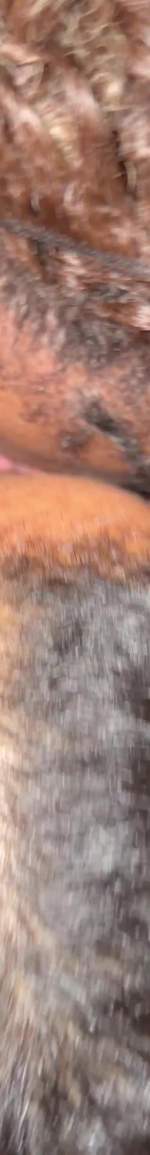 Mídia de novinho2122
