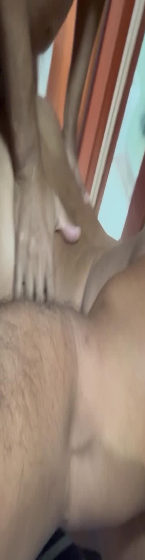 Mídia de novinhosafado_284