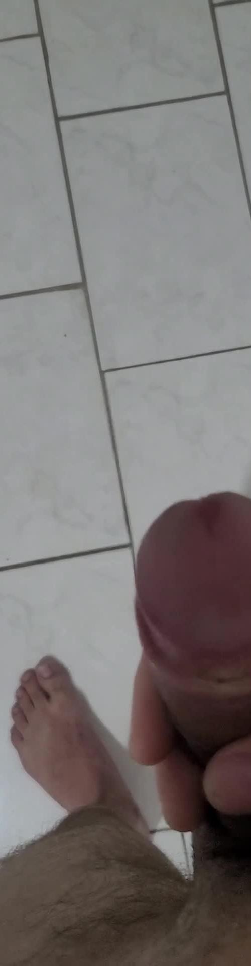 Mídia de novinhosigilo252