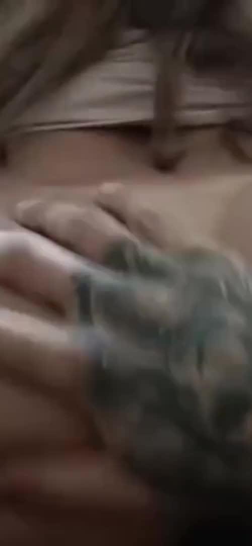 Mídia de o_viralata