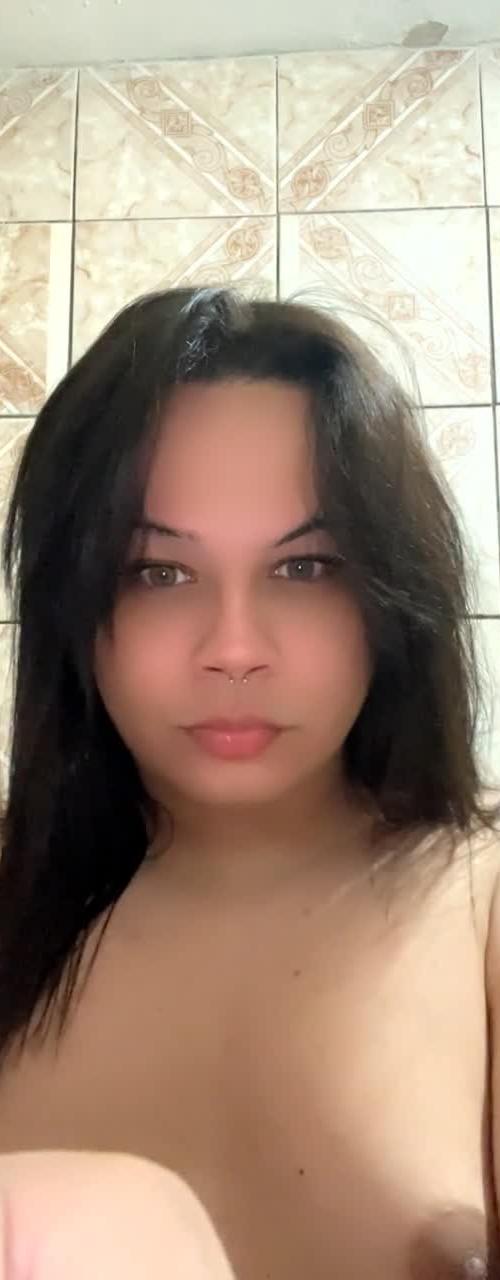 Mídia de palominhatrans