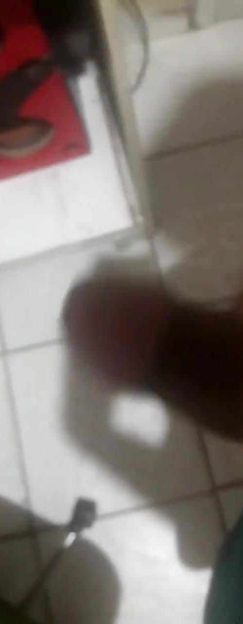 Mídia de pauzudoaju19