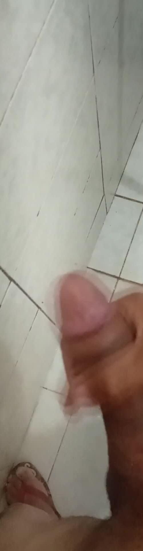 Mídia de pauzudosigilo22cm