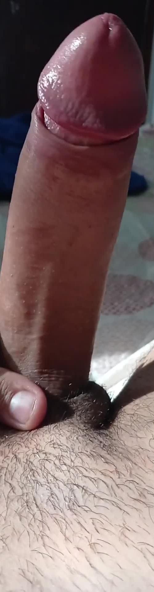 Mídia de pedromkpircud0