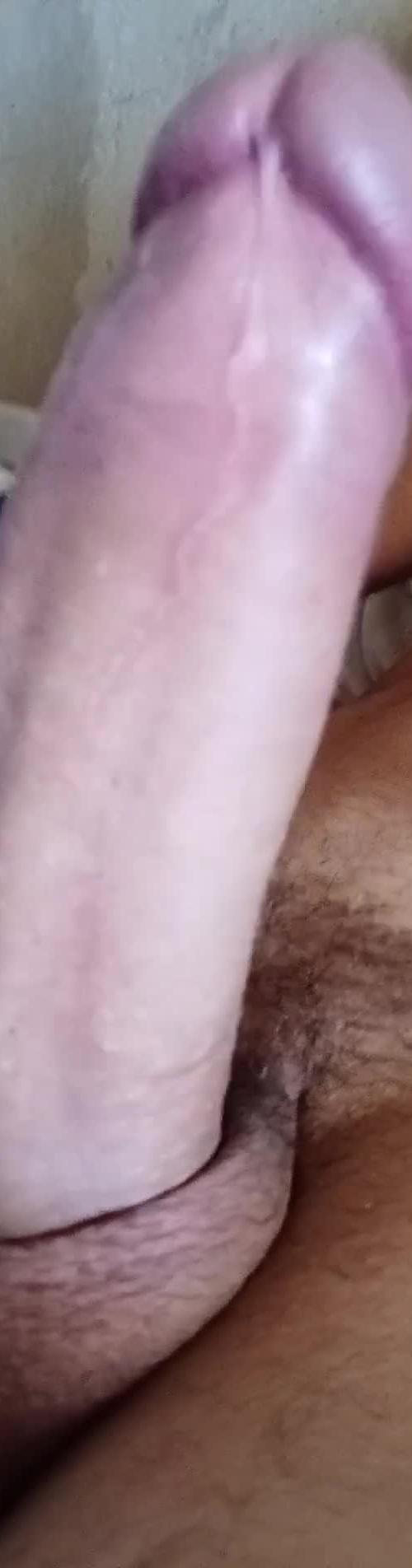 Mídia de pedromkpircud0