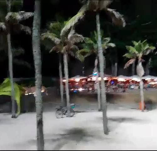 Mídia de pfsadoes